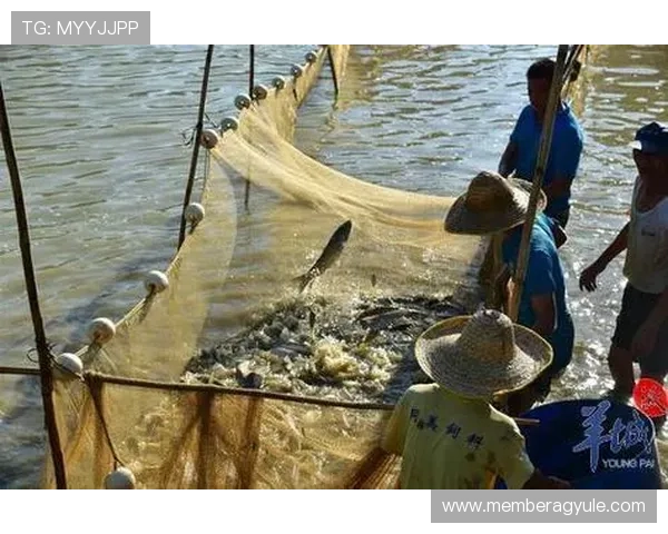 PA捕鱼网站如何提升捕鱼胜率实用技巧与策略分享